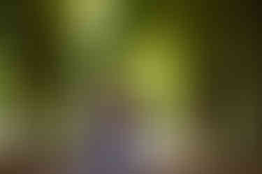 20240723-IMG_4575.jpg