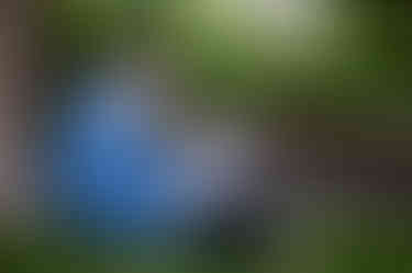 20240722-IMG_4134.jpg