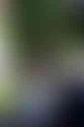 20240723-IMG_4454.jpg