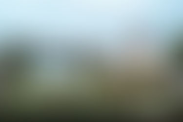 Amplio programa Luzes do Cerrado com decoração sustentável para a Páscoa