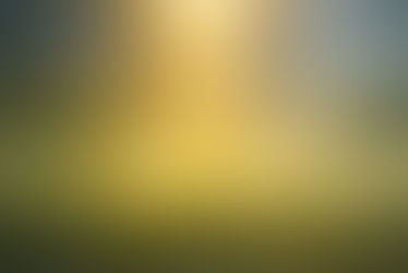 De Boterbloem — Spiegel van Zonlicht