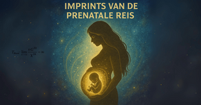 Imprints van de prenatale reis