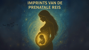 Imprints van de prenatale reis