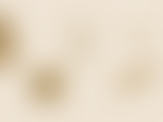 Vier Pijlers Voeding — Waarom Elk Dieet Faalt en Wat Wél Werkt