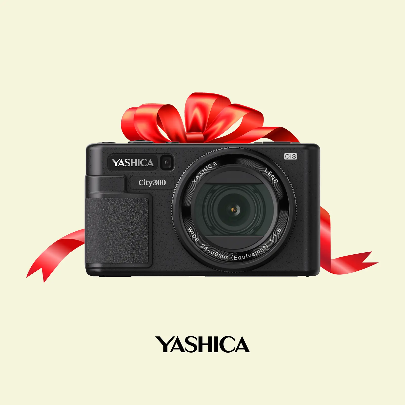 YASHICA City 300 Digital Camera (Black) with QuickFlash Camera Flashlight