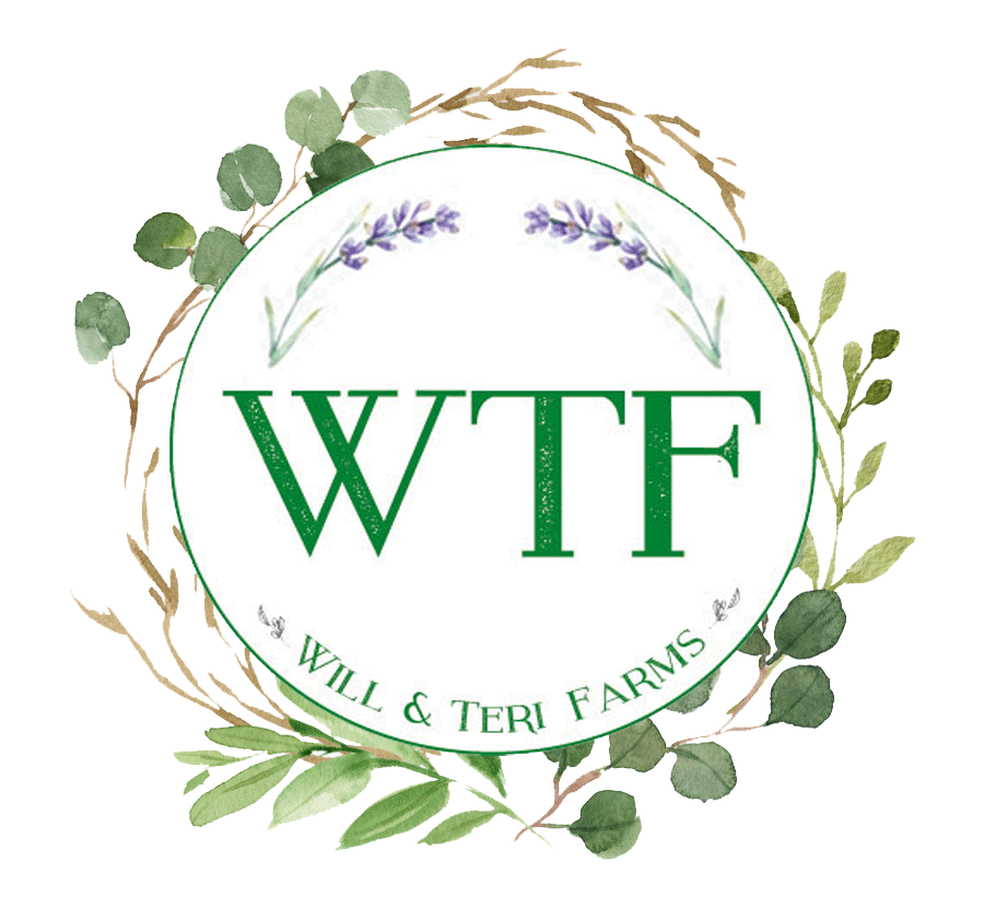 WTFlogo.gif