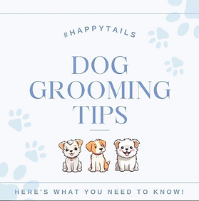 Screenshot 2025-03-02 at 5.13.03 PM.png