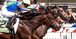 Caravel sails to nose victory in $100,000 The Very One