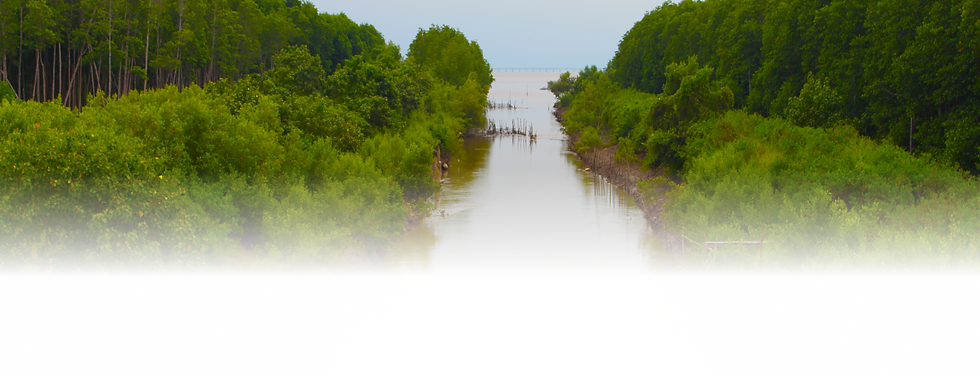 download (4).png