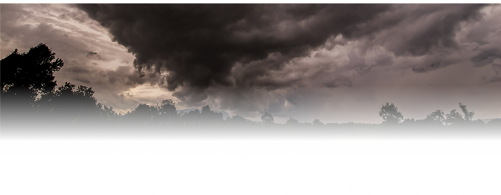 background (14).png