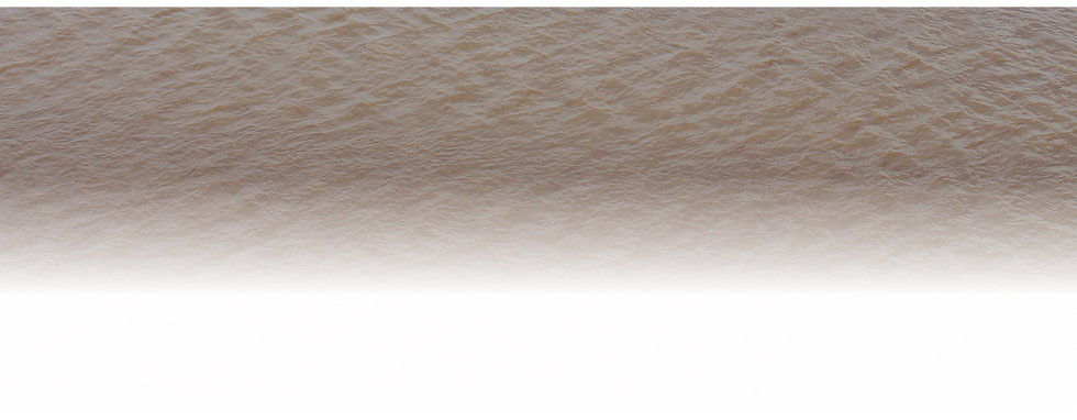 background (10).png