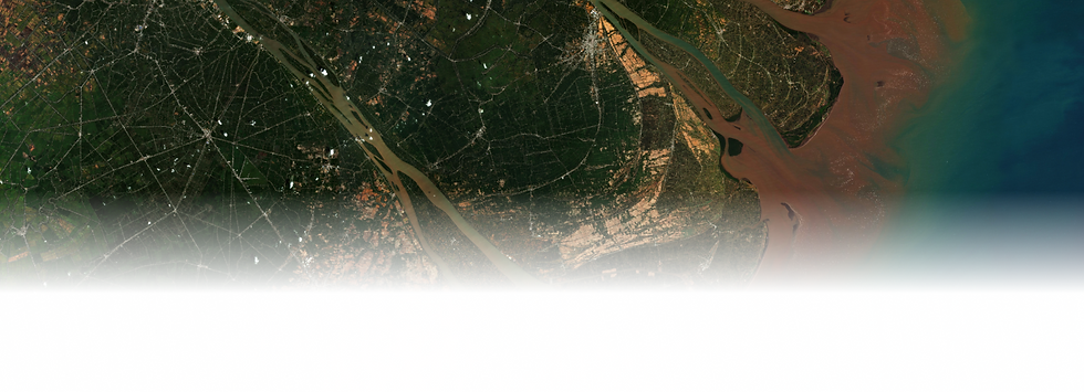 download (1).png