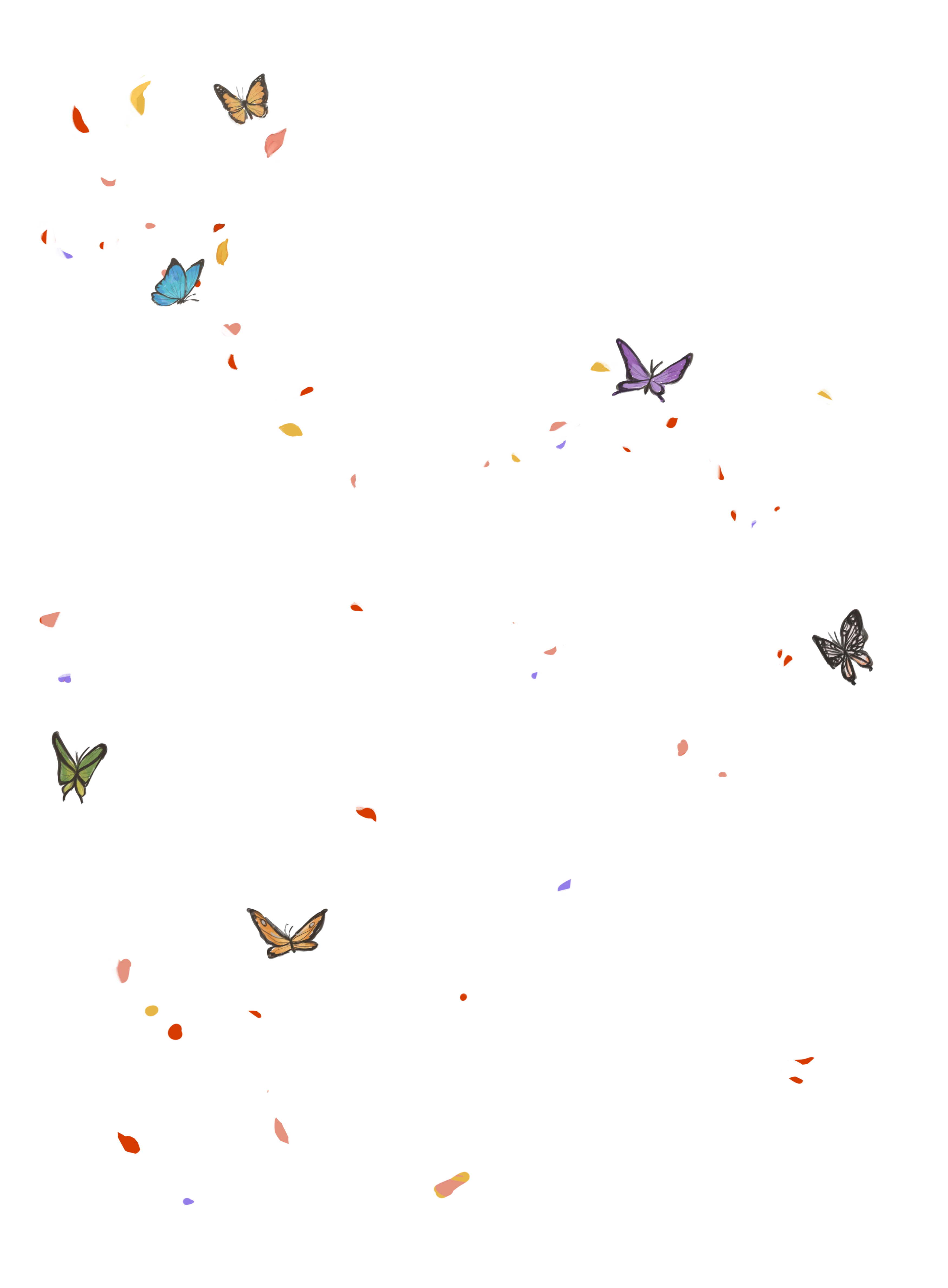 IMG_6344.webp