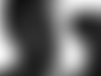 What Defines a Photographer in Southeast Michigan?