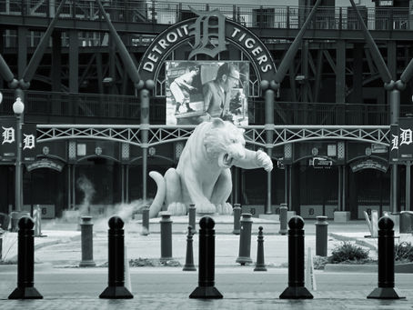 Detroit Tigers Fan Photo Sessions: Capture the Love for the Game