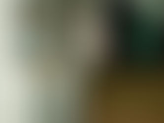 EL VANDALISMO PROVOCÓ UN SERIO INCIDENTE EN EL PARQUE YRIGOYEN