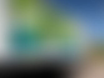 OPERATIVOS DE LIMPIEZA