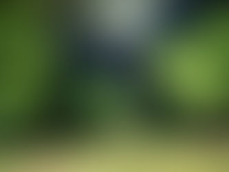 LUCES EN LA PLAZOLETA DE ATUEL NORTE