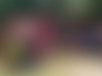 LOS ADULTOS MAYORES CERRARON LA TEMPORADA DE COLONIA DE VERANO