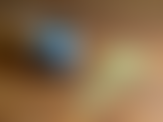 30 de noviembre "Día Nacional del Mate"