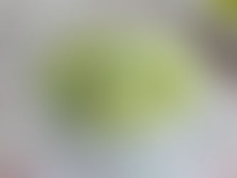 ¡Descubre los 7 alimentos para atraer la prosperidad y la abundancia en Año Nuevo!