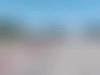 Control en Pareditas para evitar el ingreso de la Polilla de la Vid al sur provincial