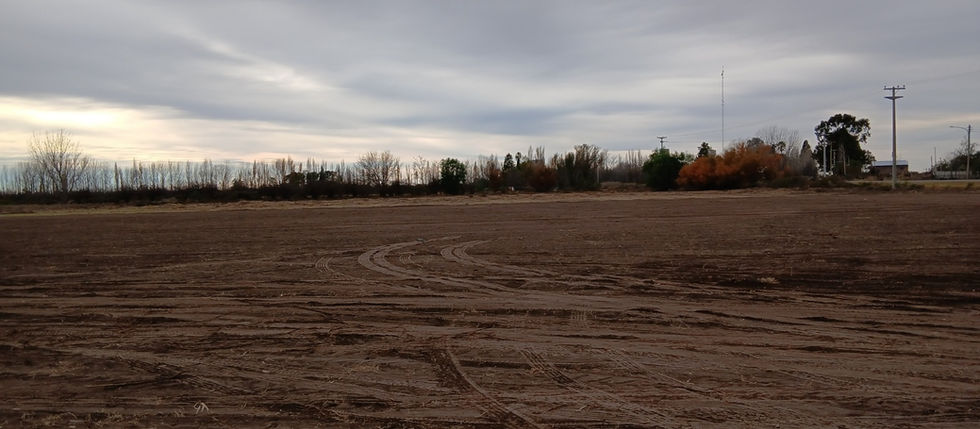 EL MUNICIPIO ADQUIRIÓ UN TERRENO PARA QUE SE PUEDAN HACER VIVIENDAS EN JAIME PRATS