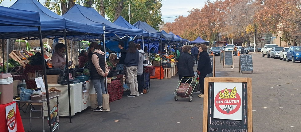 ESCUELAS JUNTO A LA FERIA FRANCA: “PODER COMERCIALIZAR ES FUNDAMENTAL PARA EL TRABAJO DE LOS ALUMNOS”