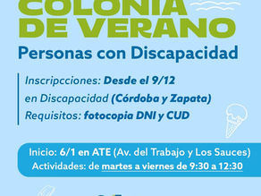 COLONIA DE VERANO: PERSONAS CON DISCAPACIDAD