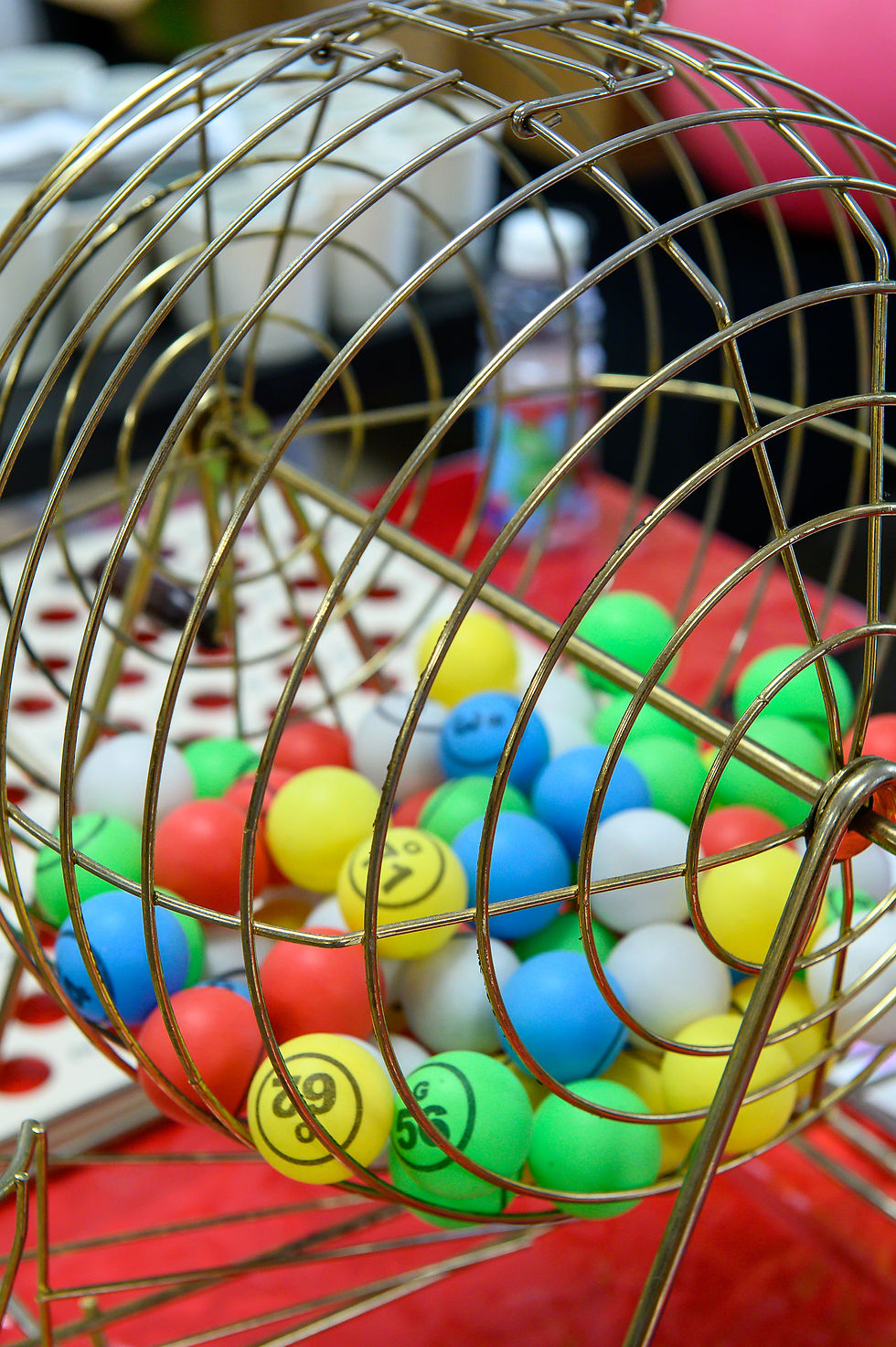 IMG_5168.JPG