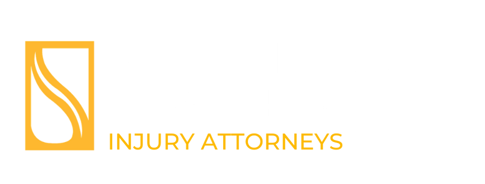 Shakhnevich Law Logo (3).png