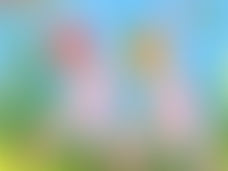 Dauerstress ist kein Lifestyle-Problem: Wie Stress deine Hormone entgleisen lässt – und wie du deinen Körper wieder beruhigst