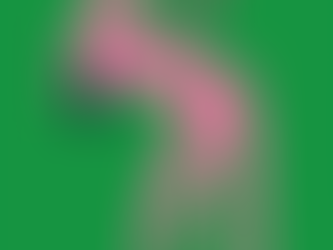 Warum „zusammenreißen“ nicht funktioniert – und was dein Nervensystem wirklich braucht