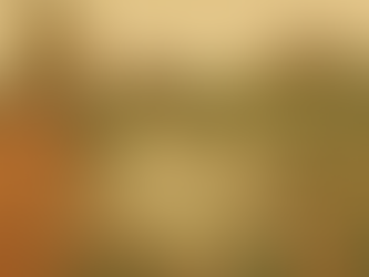 Vidarbha in Ain-i-Akbari: Secrets of Berar’s Mughal Era Unveiled