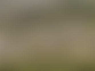 Tumsar: Tracing Centuries of Transformation in Bhandara's Historic Heartland