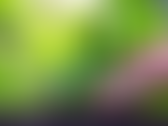 Vidarbha Farmers Pay 10x More as Fertilizer Black Market Thrives
