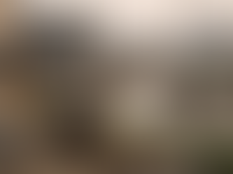 Open defecation at Nagpur Construction Sites