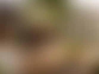 3 Historical Homes in Vidarbha