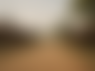 3 Colonial Railway Settlements That Shaped Vidarbha’s Urban Growth