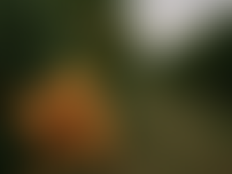 Why Nagpur Oranges Cannot Be Organic