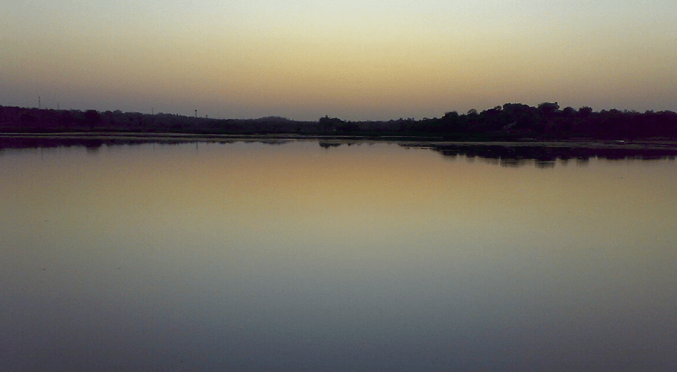 Ecological Significance and Biodiversity in Futala Lake of Nagpur