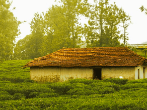 Self-Sufficiency as True Swaraj: Vidarbha Villages Rewrite Development