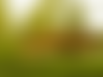 Self-Sufficiency as True Swaraj: Vidarbha Villages Rewrite Development