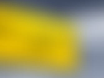 USA Textile Tariffs Strike at the Heart of Vidarbha's Textile Economy