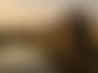 Saoner in Vidarbha: Ancient Roots Meet Bold Modern Growth