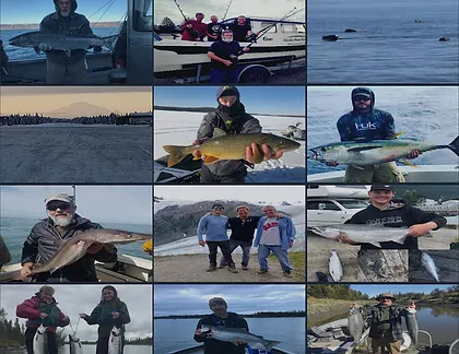 Homer Winter King Salmon Tournament Alaska Fishtopia