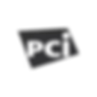 Pci.webp