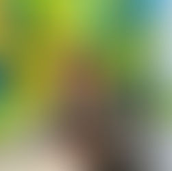 SWCRC welcomes Bamboo Technology Group to the Board