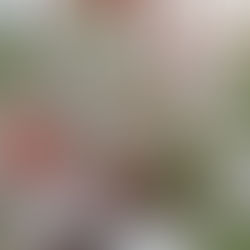 Christmas Cyber Threats