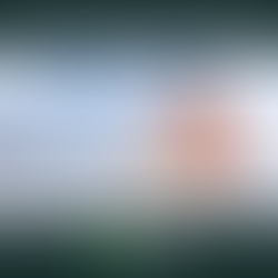 Calling Insurance Brokers